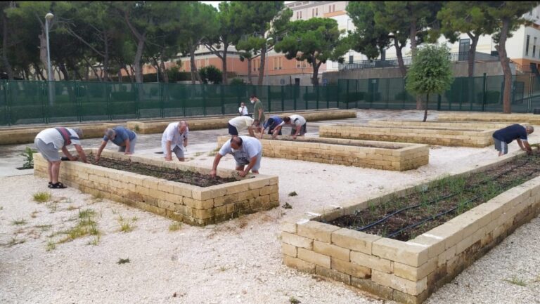 BISCEGLIE, ECCO “I REGALI DELL’ORTO”: AL VIA NUOVA ATTIVITÀ presso l’Orto Botanico di Universo Salute